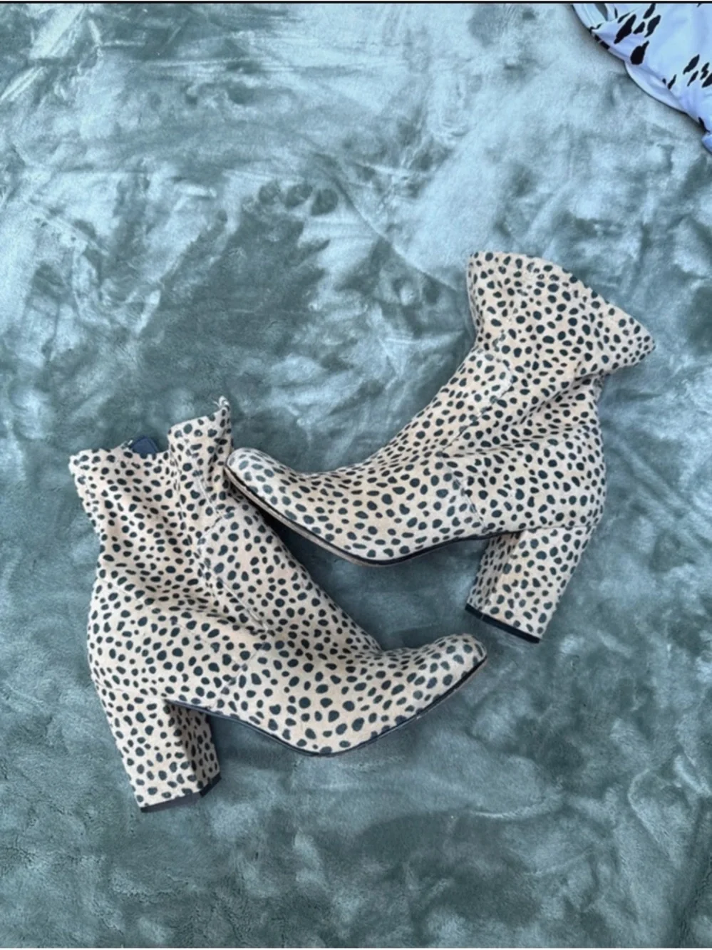 Steve Madden Cheetah Spot Ankle Boots in Cream & Black